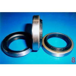 發(fā)動機油封圖片,發(fā)動機油封高清圖片 河北任縣鑫馳橡塑制品廠,